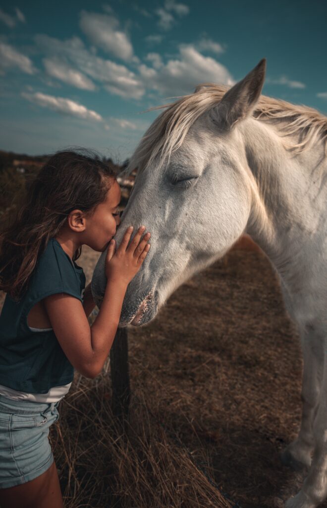 少女が馬にキスをしている