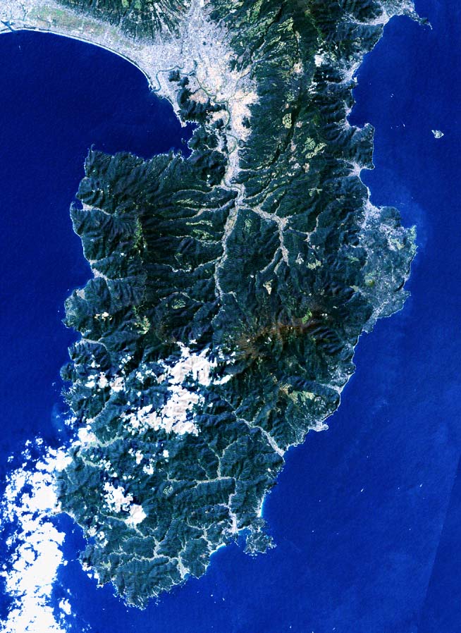 伊豆半島を映した衛星写真