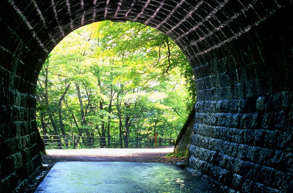 天城トンネル内部の様子。奥には太陽に照らされた新緑が輝いている