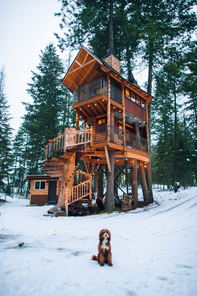 ツリーハウスタイプのロマン溢れる宿泊施設。雪原の森の中に建っており手前に犬が座っている。