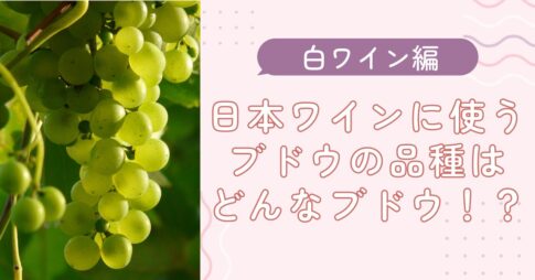 緑のブドウの画像の右手に、ピンク地に文字で、 日本ワインのブドウの品種はどんなブドウ！？